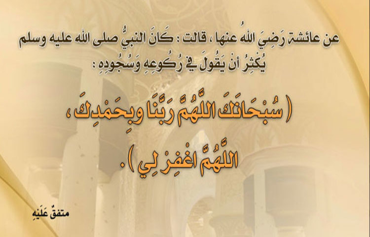 Jinsiy aloqa va orgazm haqida ilmiy filmlar